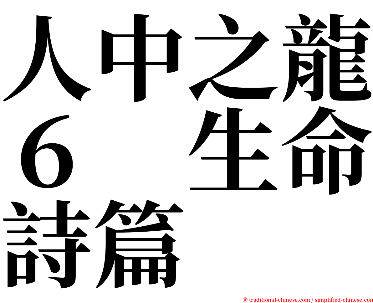 人中之龍６　生命詩篇 serif font